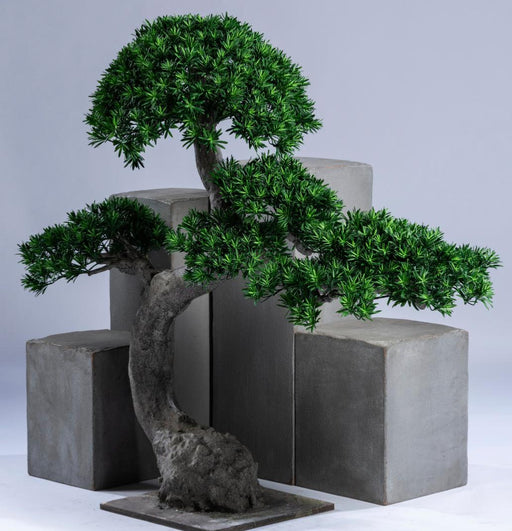 Albero Artificiale Podocarpus Nuvola Anti-UV 135Cm