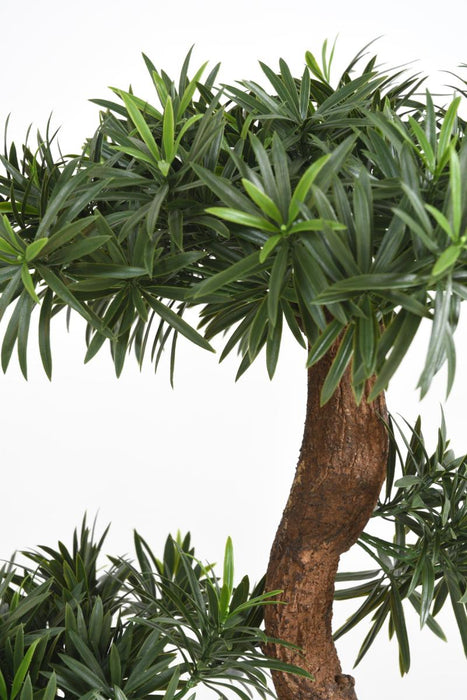 Nuvola Podocarpus Artificiale H135Cm Per Esterni