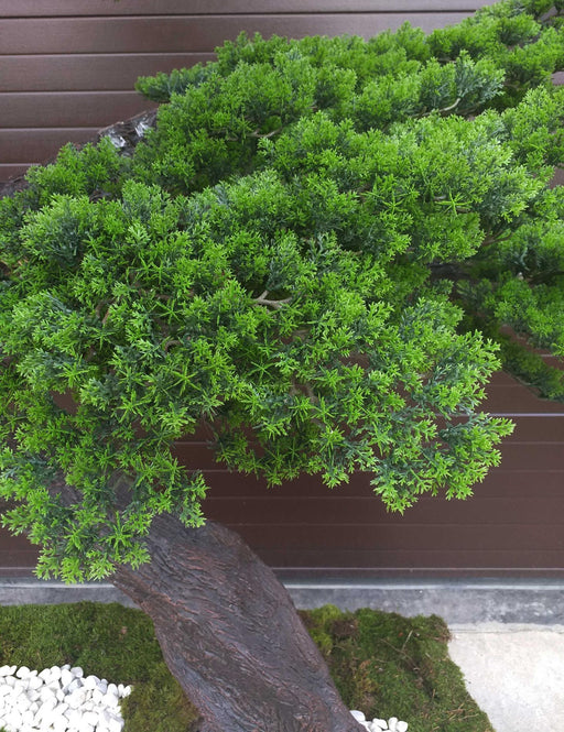 Albero Bonsai Artificiale 300Cm Per La Decorazione D'interni