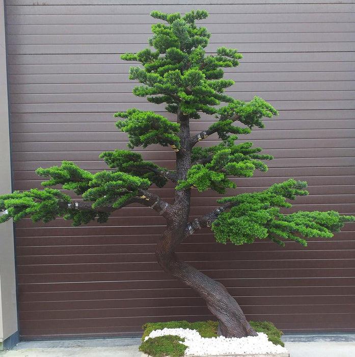 Albero Bonsai Artificiale 300Cm Per La Decorazione D'interni