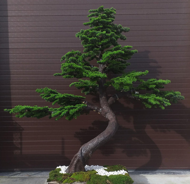 Albero Bonsai Artificiale 300Cm Per La Decorazione D'interni