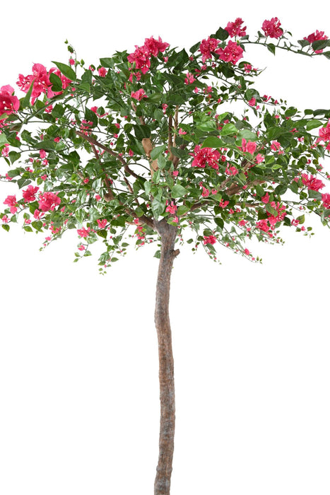 Albero Di Bouganville Artificiale Fucsia 280Cm