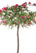 Albero Di Bouganville Artificiale Fucsia 280Cm