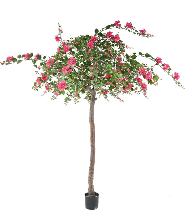 Albero Di Bouganville Artificiale Fucsia 280Cm
