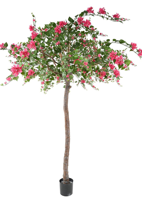 Albero Di Bouganville Artificiale Fucsia 280Cm