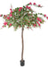 Albero Di Bouganville Artificiale Fucsia 280Cm