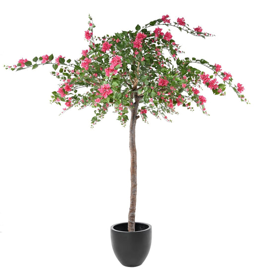 Albero Di Bouganville Artificiale Fucsia 280Cm