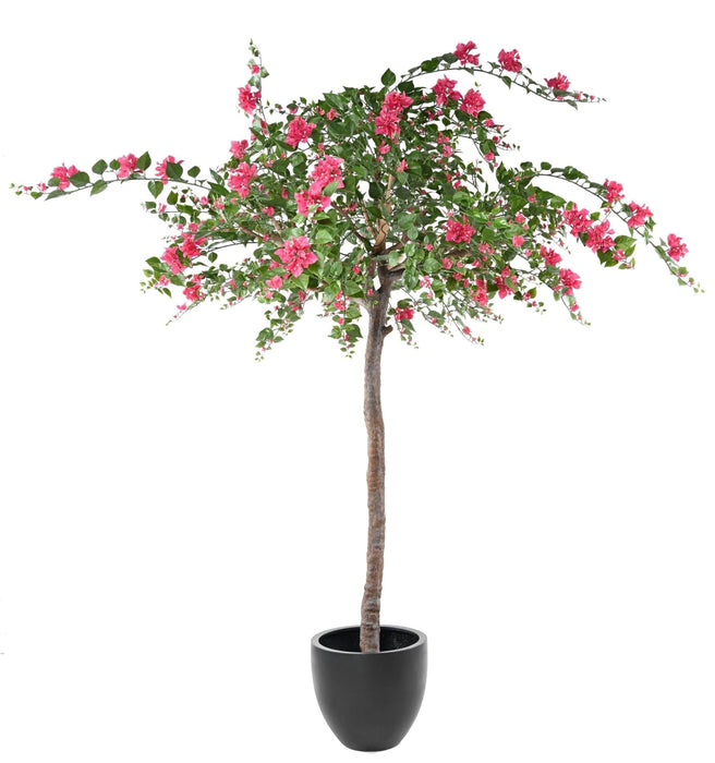Albero Di Bouganville Artificiale Fucsia 280Cm