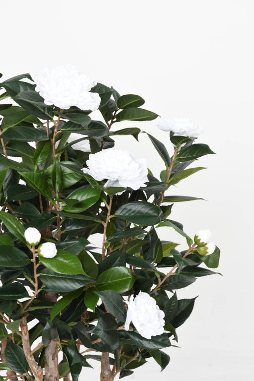 Albero Di Camelia Artificiale 130 Cm 8 Fiori Da Interno Bianco