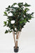 Albero Di Camelia Artificiale 130 Cm 8 Fiori Da Interno Bianco