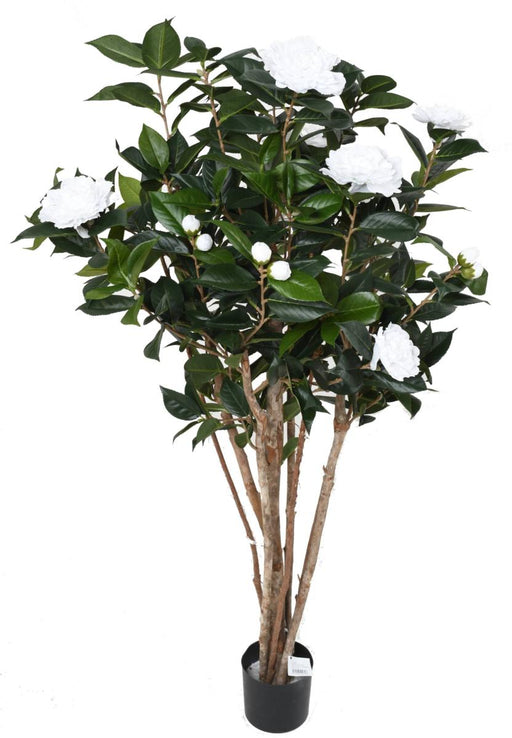 Albero Di Camelia Artificiale 130 Cm 8 Fiori Da Interno Bianco