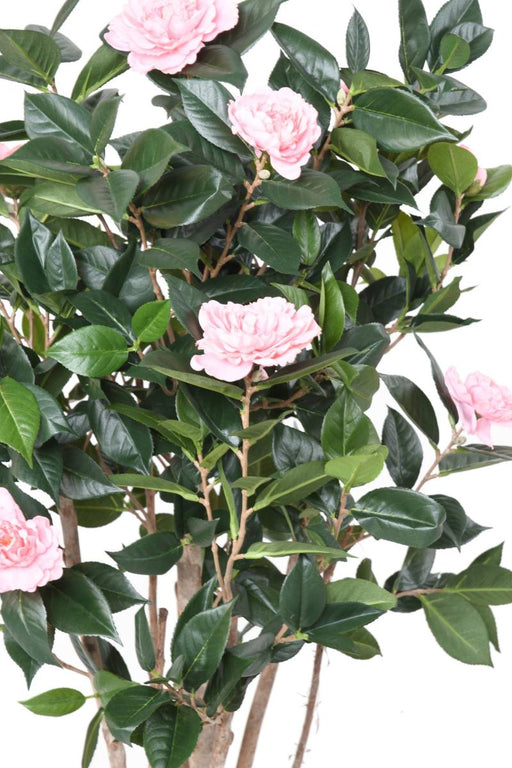 Albero Di Camelia Artificiale 130 Cm Fiori Rosa Per Interni
