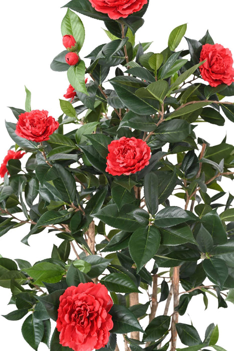Albero Di Camelia Artificiale Rosso 160 Cm 12 Fiori
