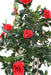 Albero Di Camelia Artificiale Rosso 160 Cm 12 Fiori