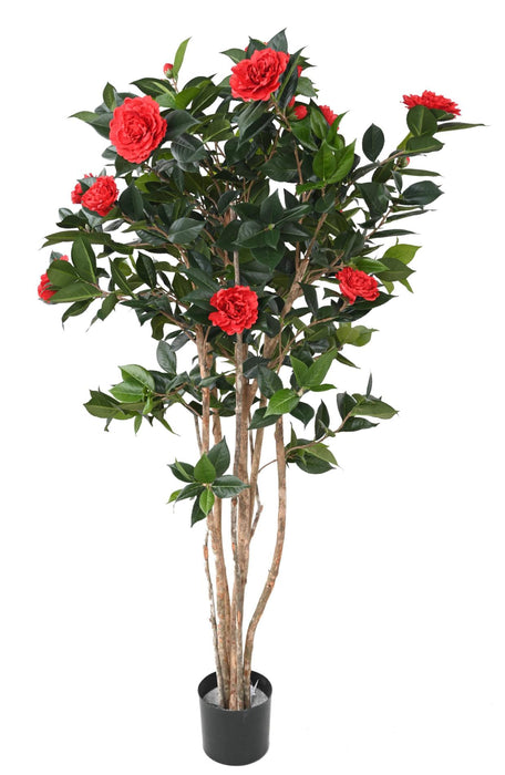 Albero Di Camelia Artificiale Rosso 160 Cm 12 Fiori