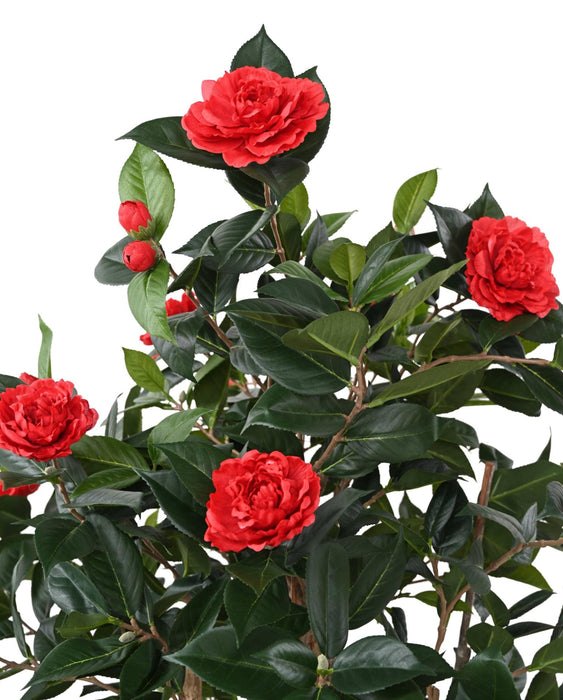 Albero Di Camelia Artificiale Rosso 160 Cm 12 Fiori