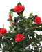 Albero Di Camelia Artificiale Rosso 160 Cm 12 Fiori