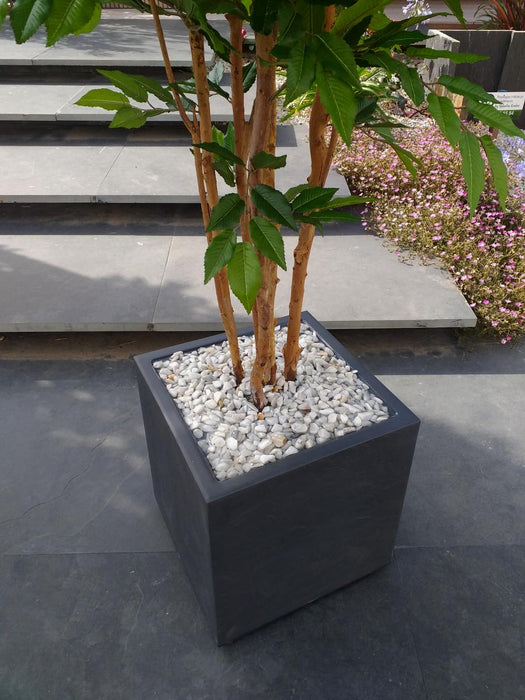 Albero Di Carpino Artificiale 5 Tronchi 150 Cm Pianta Da Interno