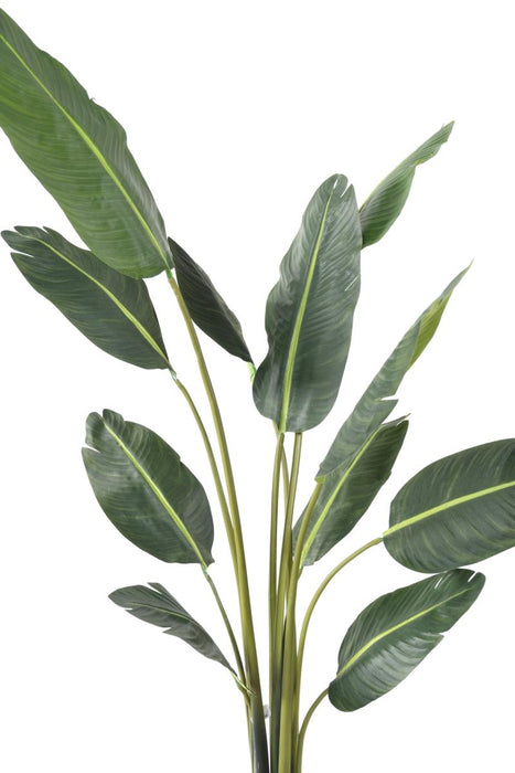 Albero Viaggiatore Artificiale Per Interni 195 Cm