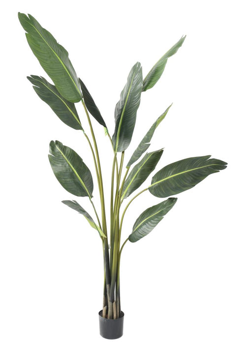 Albero Viaggiatore Artificiale Per Interni 195 Cm