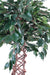 Albero Di Ficus Artificiale 140Cm Pianta Da Interno