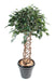 Albero Di Ficus Artificiale 140Cm Pianta Da Interno