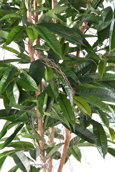 Albero Di Ficus Artificiale 210 Cm Pianta Da Interno