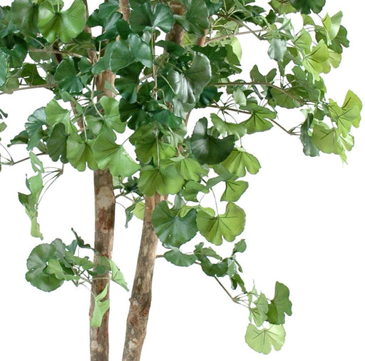Albero Artificiale Di Ginkgo Biloba 240 Cm Decorazione Per Interni