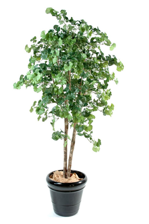 Albero Artificiale Di Ginkgo Biloba 240 Cm Decorazione Per Interni