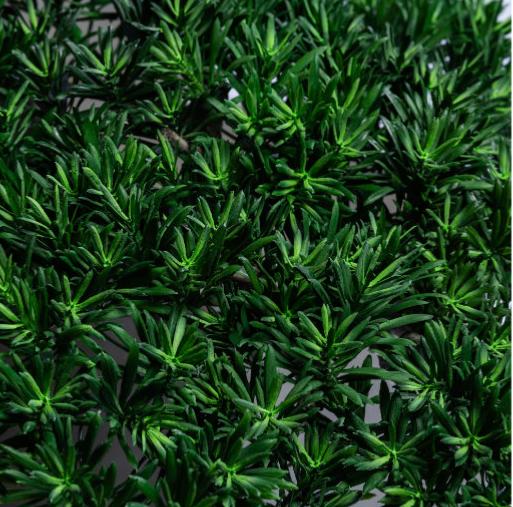 Albero Artificiale Del Podocarpo Giapponese Per Interni Ed Esterni