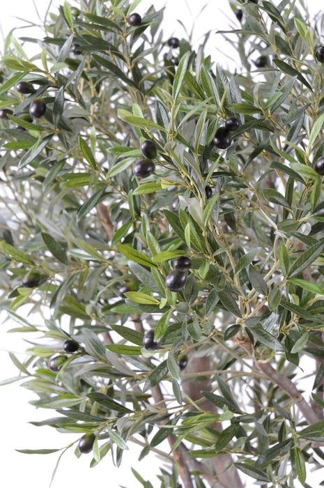 Ulivo Artificiale 185Cm Decorazione Interna