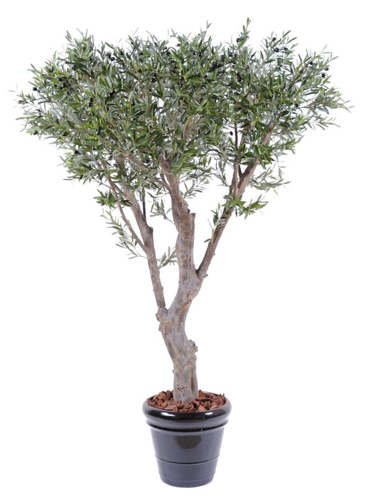 Ulivo Artificiale 185Cm Decorazione Interna