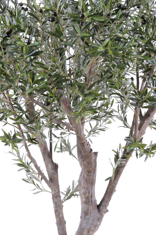 Ulivo Artificiale 240 Cm Decorazione Interni