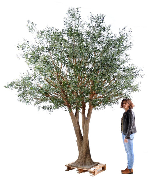 Olivo Artificiale 350Cm Per Interni