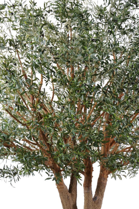 Olivo Artificiale 350Cm Per Interni