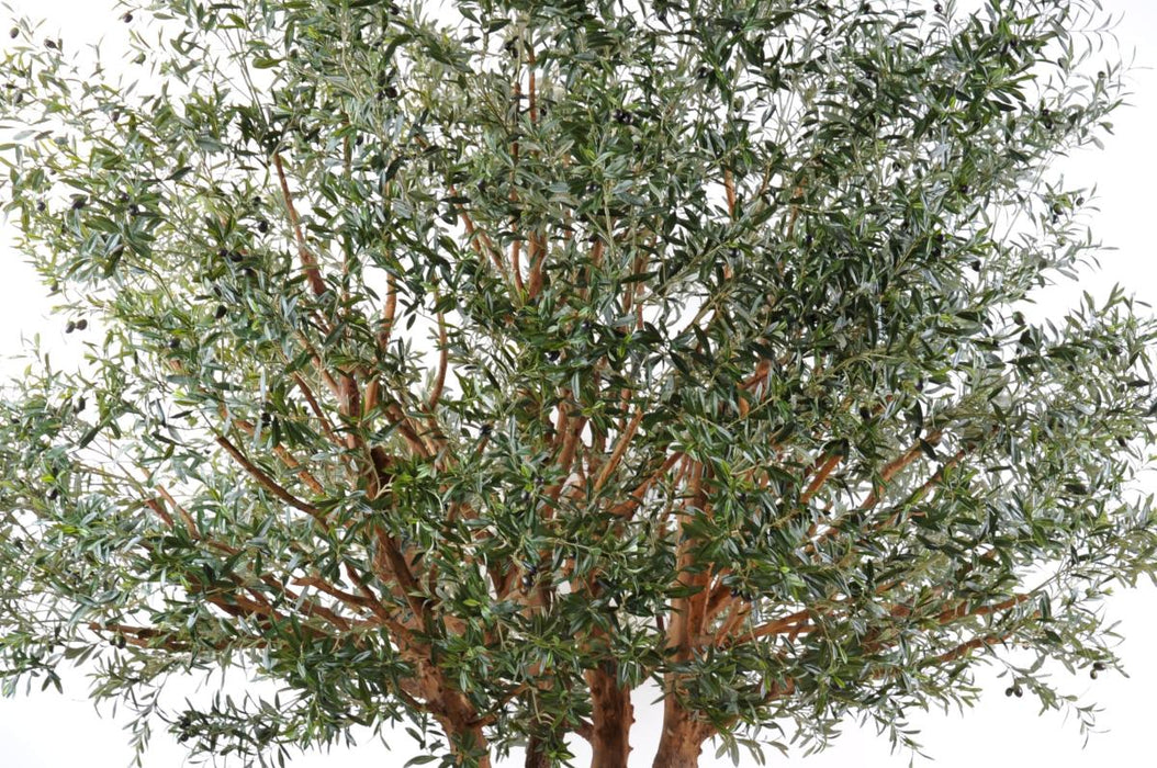 Olivo Artificiale 350Cm Per Interni
