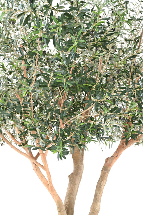 Olivo Artificiale 370Cm Per Interni