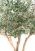 Olivo Artificiale 370Cm Per Interni
