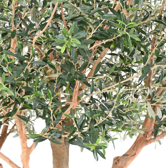 Olivo Artificiale 370Cm Per Interni