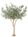 Olivo Artificiale 370Cm Per Interni