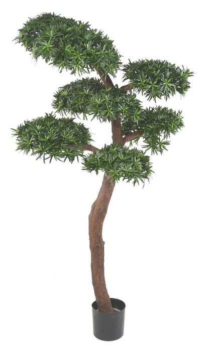 Albero Podocarpus Artificiale UV Per Interni Ed Esterni