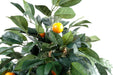 Arancio Artificiale 80Cm Per La Decorazione D'interni
