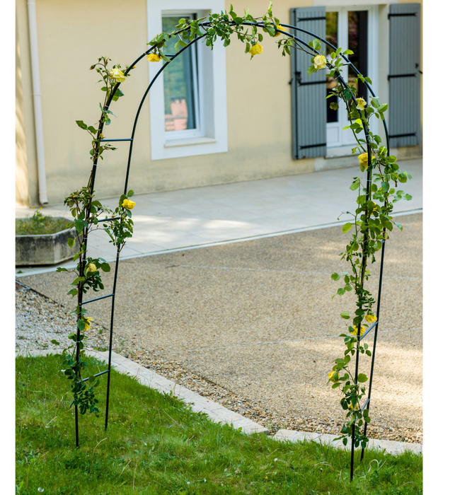 Arco Da Giardino Arco Di Rose Rampicanti
