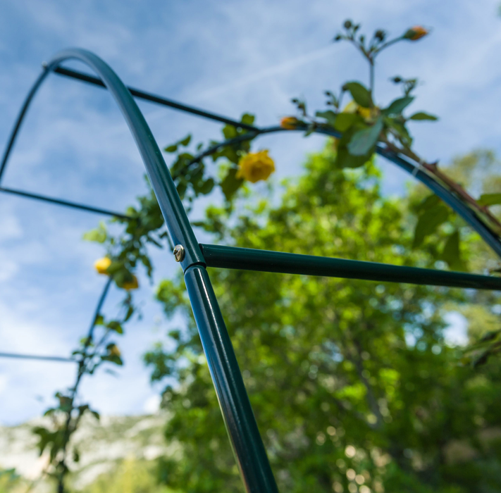 Arco Da Giardino Arco Di Rose Rampicanti