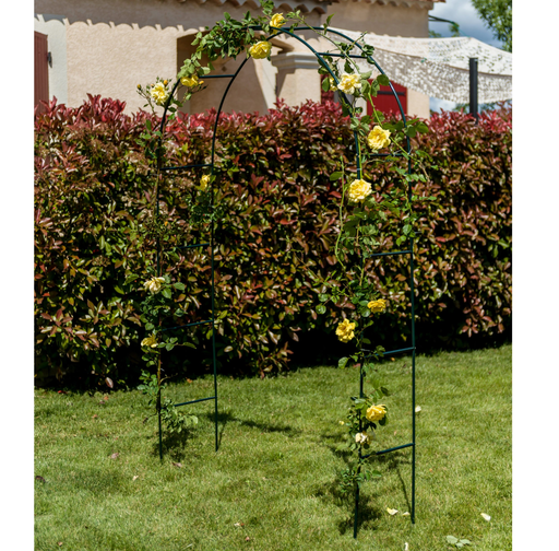 Arco Da Giardino Arco Di Rose Rampicanti