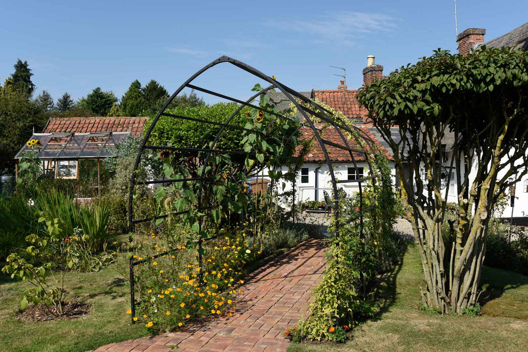 Arco Del Giardino Gotico