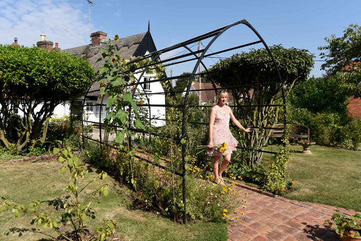 Arco Del Giardino Gotico