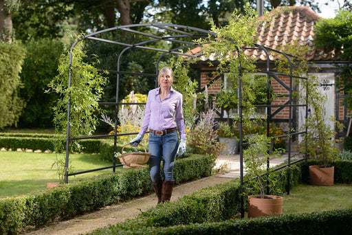 Arco Del Giardino Della Pergola Di Harrod