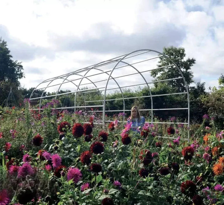 Arco Del Giardino Dei Licheni Romani