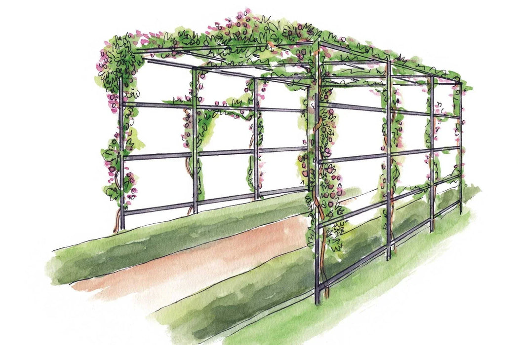 Arco Da Giardino Quadrato